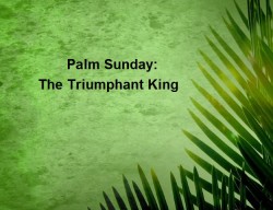 PalmSunday the already triumpohant king