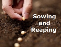 sowing23