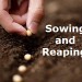 sowing23