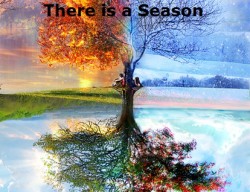 seasons2