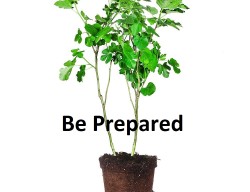 beprepared