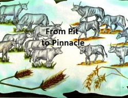 10-11-2020- From Pit to Pinnacle